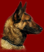 Prowaffe's Arttu